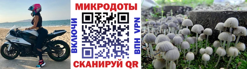 Псилоцибиновые грибы ЛСД  Баймак 